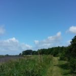 Der Weg am Noord-Holland Kanal
